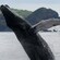 A whale breaches in the water by a grassy cliff